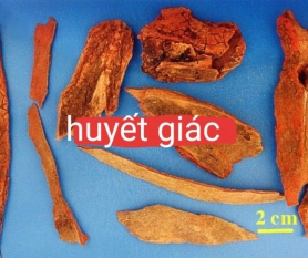 Dung Dịch Huyết Giác